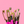 Load image into Gallery viewer, Throw kindness around like confetti Glitter Pen
