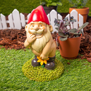 The Flower Power Naughty Funny Garden Gnome