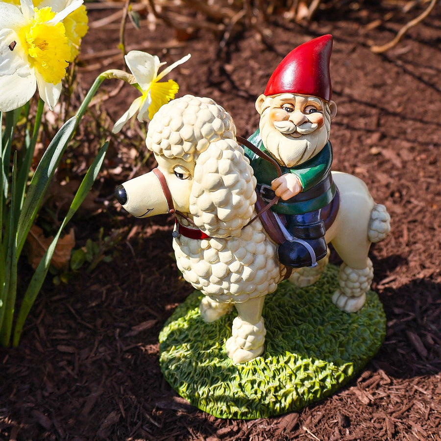 The Poodle Garden Gnome